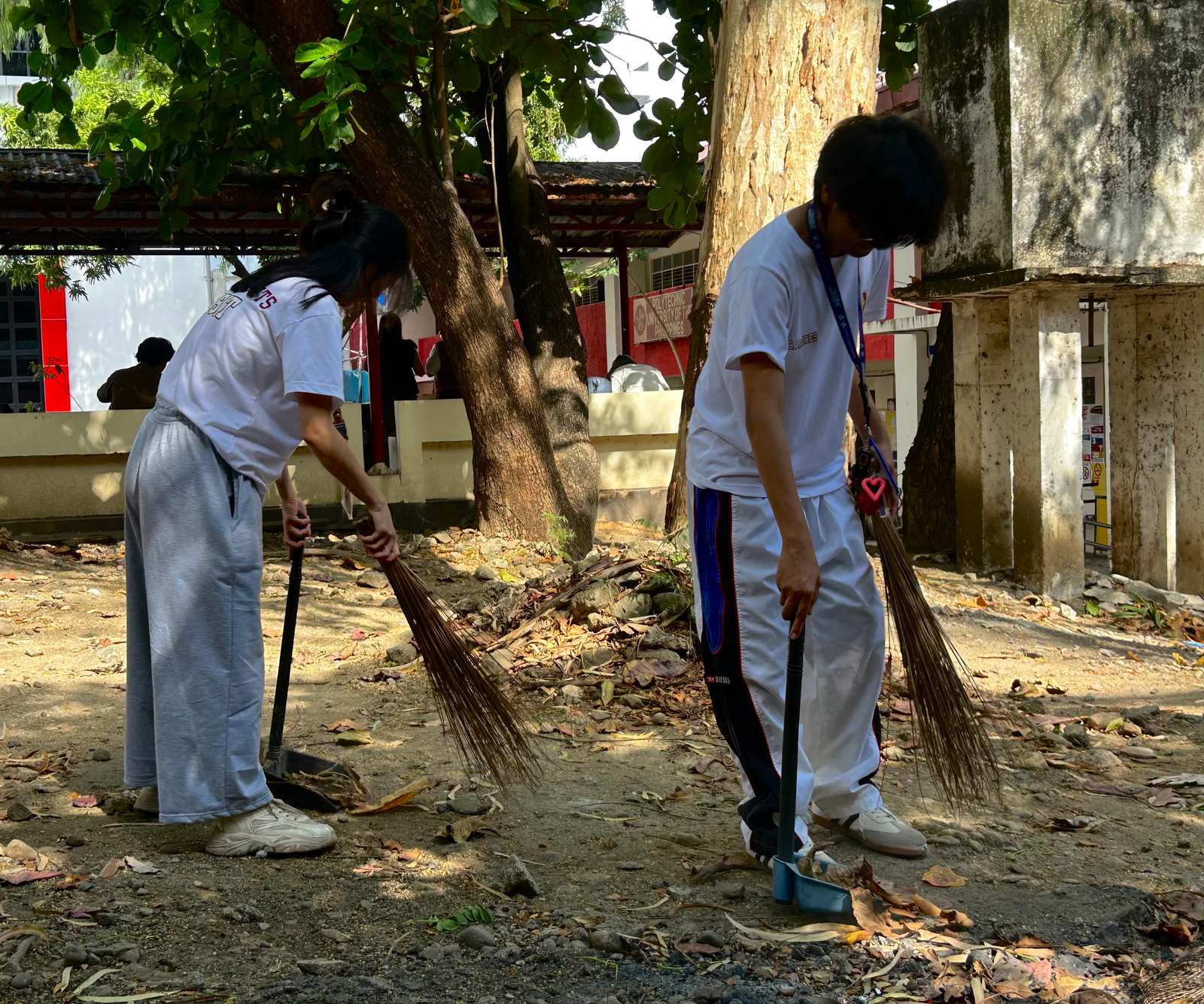 CWTS Activity 8